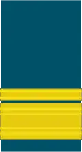 An RAF air vice-marshal's sleeve mess insignia