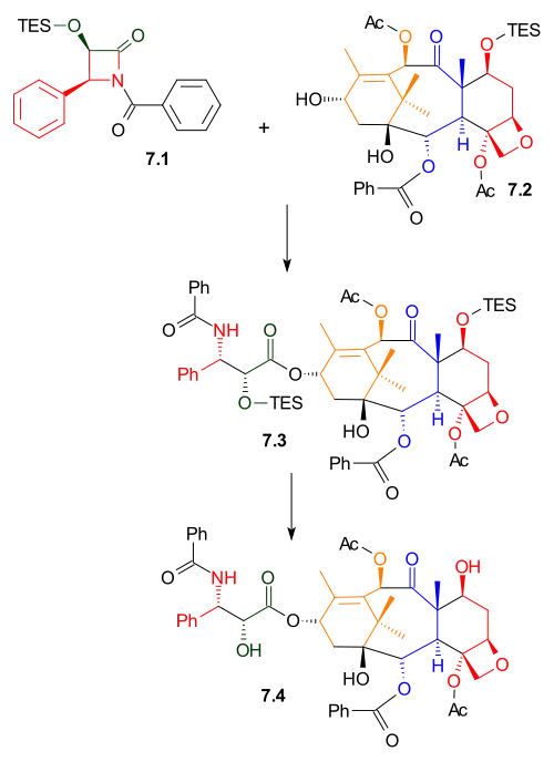 Tail Addition Scheme 7