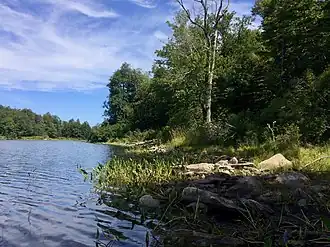 Pond