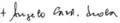 Angelo Scola's signature