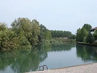 Stella River