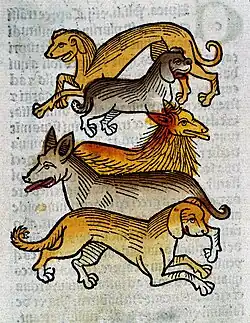 Image 33"Five different types of dogs", c. 1547. (from Dog breed)