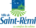 Flag of Saint-Rémi