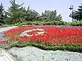Image 25Flag of Turkey, from flowers
