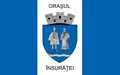Flag of Însurăței