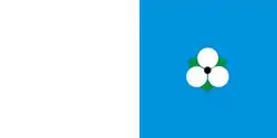 Flag of Zhabinka
