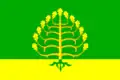 Flag of Adygeysk