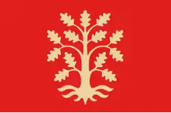 Flag of Agder County