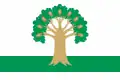 Flag of Arkhangelsky District
