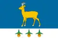 Flag of Aromashevsky District