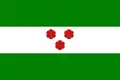 Flag of Bílichov