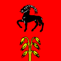 Flag of Bidogno