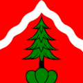 Flag of Bignasco