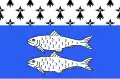 Flag of Binic