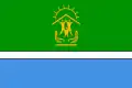 Flag of Biryusinsk