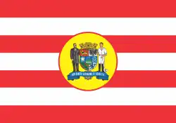 Flag of Blumenau