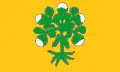 Flag of Cospicua