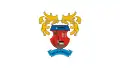 Flag of Botykapeterd