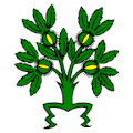 Flag of Breno