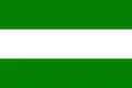 Flag of Caaguazú
