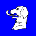 Flag of Caneggio