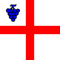 Flag of Cavigliano