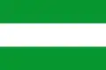 Flag of Charta