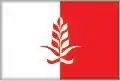 Flag of Municipality of Češinovo-Obleševo