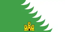 Flag of Khoiniki district