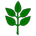 Flag of Constantine