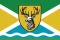 Flag of Dieren
