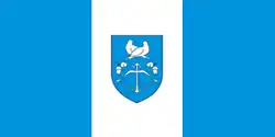 Flag of Drahichyn