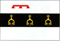 Flag of Durlești