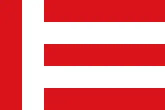 Municipal flag