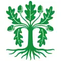 Flag of Eksjö Municipality