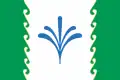 Flag of Gafuriysky District