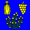 Flag of Genestrerio