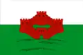Flag of Gorodishche