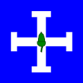 Flag of Goumoens-la-Ville