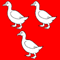 Flag of Granges-près-Marnand