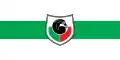 Flag of Grosuplje