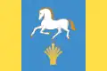 Flag of Ilishevsky District