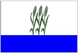 Flag of Kamyshin