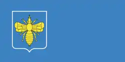 Flag of Klimavichy district