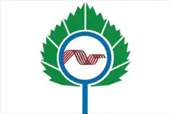Flag of Koltsovo