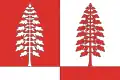 Flag of Krasnoborsky District