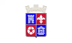 Flag of Kyustendil