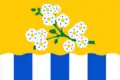 Flag of Leninsk