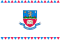 Flag of Lupeni