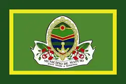 Flag of Maputo